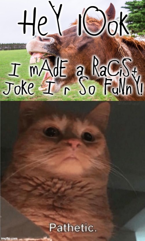 HeY lOoK I mAdE a RaCiSt JoKe I r So FuNnY! | image tagged in ah ha ha,pathetic cat | made w/ Imgflip meme maker