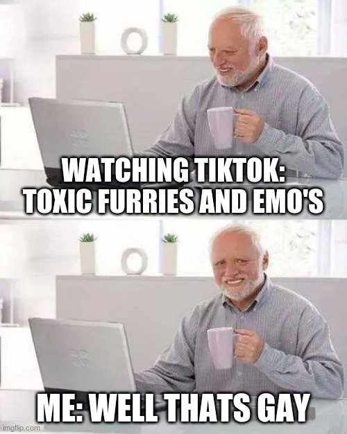 Hide the Pain Harold | WATCHING TIKTOK: TOXIC FURRIES AND EMO'S; ME: WELL THATS GAY | image tagged in memes,hide the pain harold | made w/ Imgflip meme maker