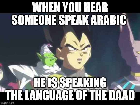 The Language of the Daads | WHEN YOU HEAR SOMEONE SPEAK ARABIC; HE IS SPEAKING THE LANGUAGE OF THE DAAD | image tagged in he's speaking the language of gods | made w/ Imgflip meme maker