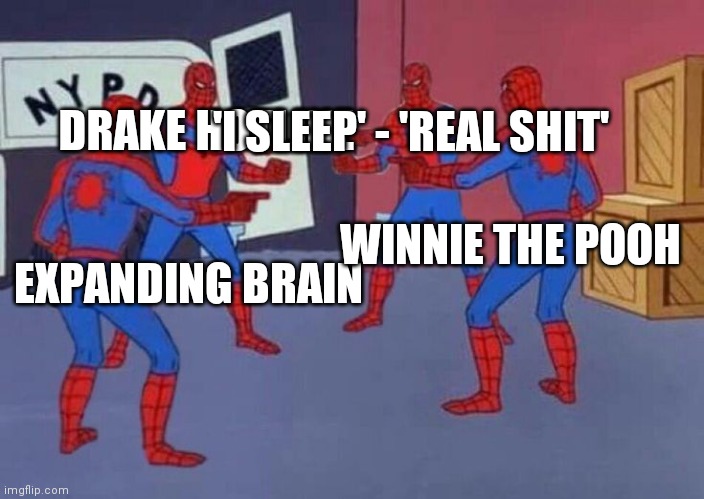 It had to be said | 'I SLEEP' - 'REAL SHIT'; DRAKE HOTLINE; EXPANDING BRAIN; WINNIE THE POOH | image tagged in 4 spiderman pointing at each other,meme template | made w/ Imgflip meme maker