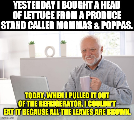 Lettuce | YESTERDAY I BOUGHT A HEAD OF LETTUCE FROM A PRODUCE STAND CALLED MOMMAS & POPPAS. TODAY, WHEN I PULLED IT OUT OF THE REFRIGERATOR, I COULDN'T EAT IT BECAUSE ALL THE LEAVES ARE BROWN. | image tagged in harold | made w/ Imgflip meme maker