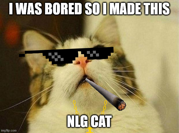 nlg cat | I WAS BORED SO I MADE THIS; NLG CAT | image tagged in memes,scared cat | made w/ Imgflip meme maker