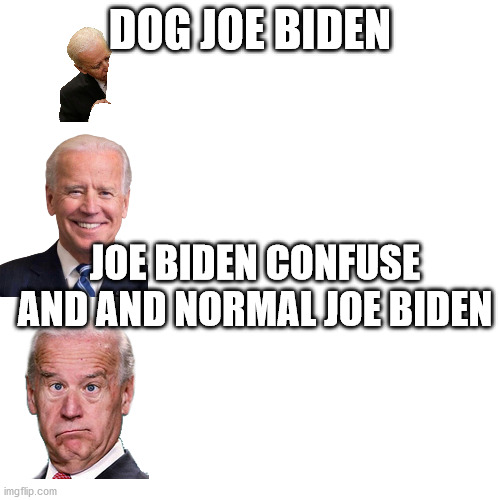 Blank Transparent Square Meme | DOG JOE BIDEN; JOE BIDEN CONFUSE AND AND NORMAL JOE BIDEN | image tagged in memes,blank transparent square | made w/ Imgflip meme maker