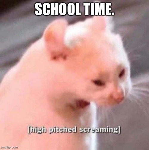 [high pitched screaming] | SCHOOL TIME. | image tagged in high pitched screaming | made w/ Imgflip meme maker