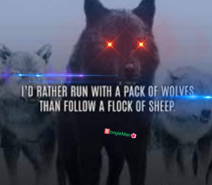 Wolf pack Blank Meme Template