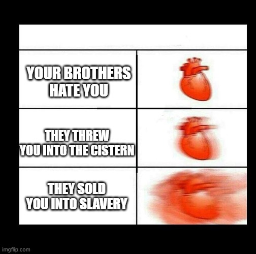Joseph |  YOUR BROTHERS HATE YOU; THEY THREW YOU INTO THE CISTERN; THEY SOLD YOU INTO SLAVERY | image tagged in heart beating faster,the bible | made w/ Imgflip meme maker