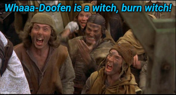 Monty Python witch | Whaaa-Doofen is a witch, burn witch! | image tagged in monty python witch | made w/ Imgflip meme maker