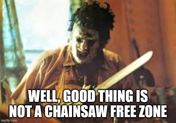 texas chainsaw | WELL, GOOD THING IS NOT A CHAINSAW FREE ZONE | image tagged in texas chainsaw | made w/ Imgflip meme maker