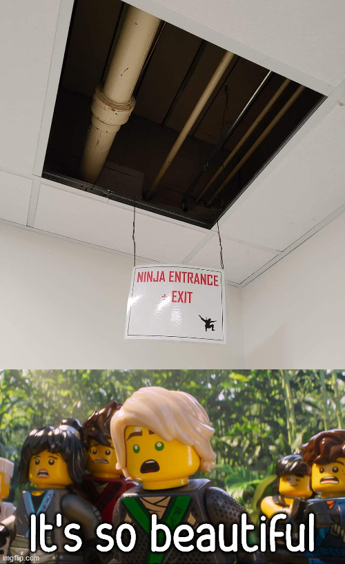 You might have this in your office. |  It's so beautiful | image tagged in ninjago shocked,ninja,exit | made w/ Imgflip meme maker