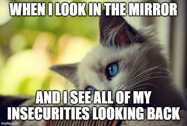 I need help. I think of very bad things sometimes. Please comment and upvote if this is also you. I need to know that I am not a |  WHEN I LOOK IN THE MIRROR; AND I SEE ALL OF MY INSECURITIES LOOKING BACK | image tagged in memes,first world problems cat | made w/ Imgflip meme maker