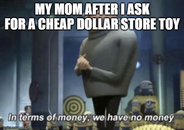 why,mom,why | MY MOM AFTER I ASK FOR A CHEAP DOLLAR STORE TOY | image tagged in in term of we have no | made w/ Imgflip meme maker