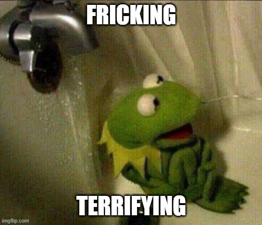 kermit crying terrified in shower | FRICKING TERRIFYING | image tagged in kermit crying terrified in shower | made w/ Imgflip meme maker