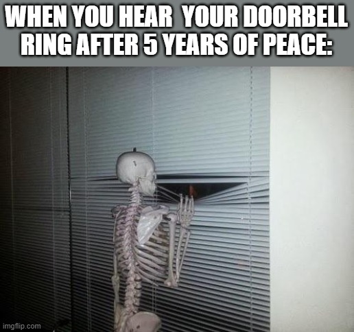 Skeleton Looking Out Window | WHEN YOU HEAR  YOUR DOORBELL RING AFTER 5 YEARS OF PEACE: | image tagged in skeleton looking out window | made w/ Imgflip meme maker