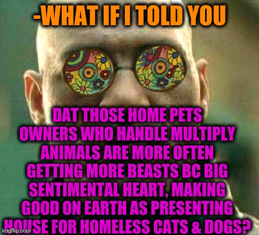 -I'm taking another. | -WHAT IF I TOLD YOU; DAT THOSE HOME PETS OWNERS WHO HANDLE MULTIPLY ANIMALS ARE MORE OFTEN GETTING MORE BEASTS BC BIG SENTIMENTAL HEART, MAKING GOOD ON EARTH AS PRESENTING HOUSE FOR HOMELESS CATS & DOGS? | image tagged in acid kicks in morpheus,dogs an cats,carry on,braveheart,helping homeless,animal house | made w/ Imgflip meme maker
