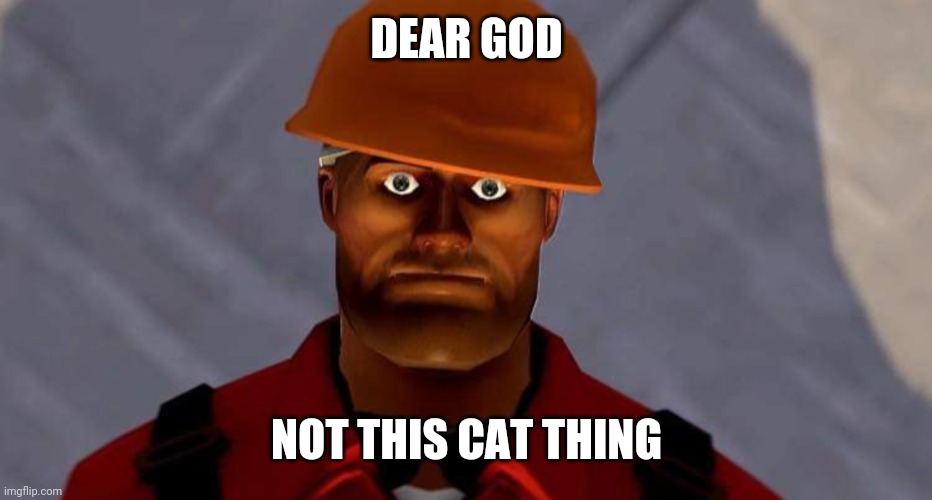 engi | DEAR GOD NOT THIS CAT THING | image tagged in engi | made w/ Imgflip meme maker