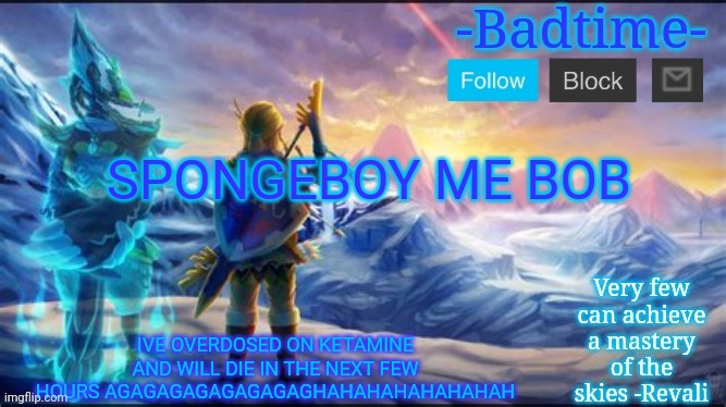Pasta-Bird | SPONGEBOY ME BOB; IVE OVERDOSED ON KETAMINE AND WILL DIE IN THE NEXT FEW HOURS AGAGAGAGAGAGAGAGHAHAHAHAHAHAHAH | image tagged in pasta-bird | made w/ Imgflip meme maker