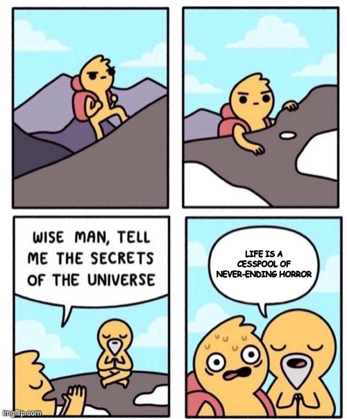 Wise Man Secrets | LIFE IS A CESSPOOL OF NEVER-ENDING HORROR | image tagged in wise man secrets | made w/ Imgflip meme maker