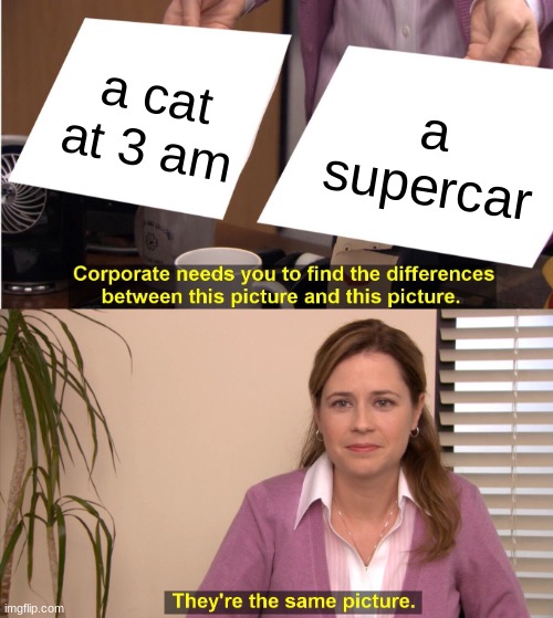 zoom | a cat at 3 am; a supercar | image tagged in memes,they're the same picture | made w/ Imgflip meme maker