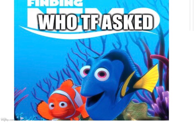 Finding who asked | image tagged in meme,who asked | made w/ Imgflip meme maker