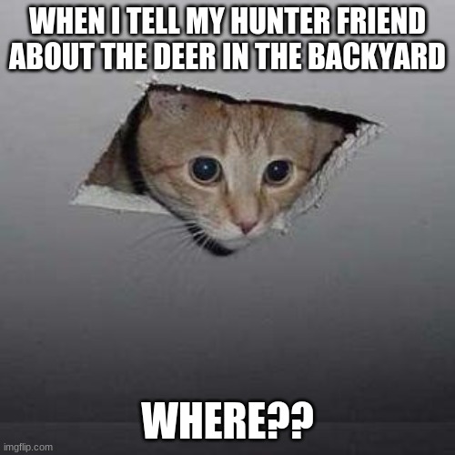 Ceiling Cat Meme |  WHEN I TELL MY HUNTER FRIEND ABOUT THE DEER IN THE BACKYARD; WHERE?? | image tagged in memes,ceiling cat | made w/ Imgflip meme maker