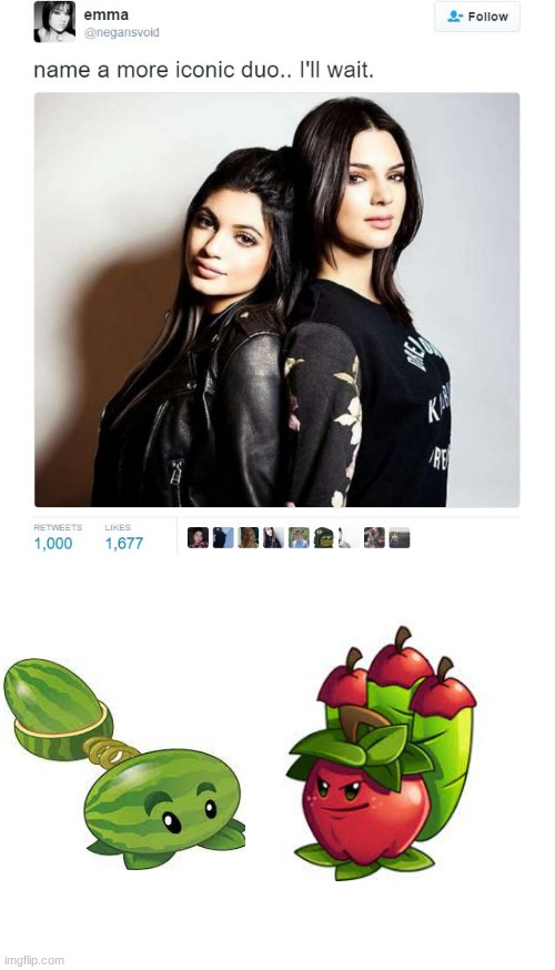 Apple Mortar and Melon-Pult are my favorite plants | image tagged in name a more iconic duo | made w/ Imgflip meme maker