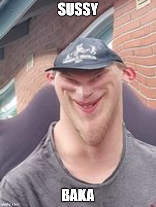 sussy baka | SUSSY BAKA | image tagged in sussy baka | made w/ Imgflip meme maker