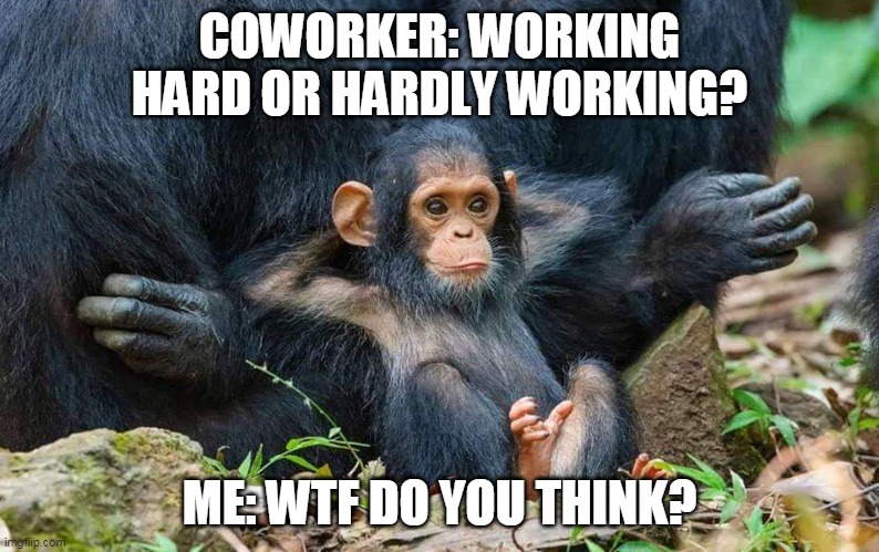 Working hard or hardly working? | COWORKER: WORKING HARD OR HARDLY WORKING? ME: WTF DO YOU THINK? | image tagged in funny,coworker,work,friday,job | made w/ Imgflip meme maker
