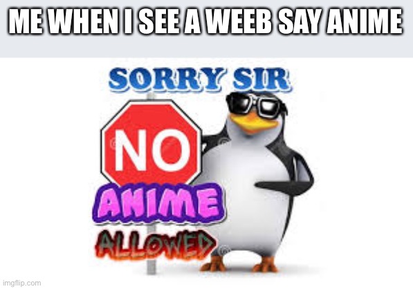 NO Anime Allowed | ME WHEN I SEE A WEEB SAY ANIME | image tagged in no anime allowed | made w/ Imgflip meme maker