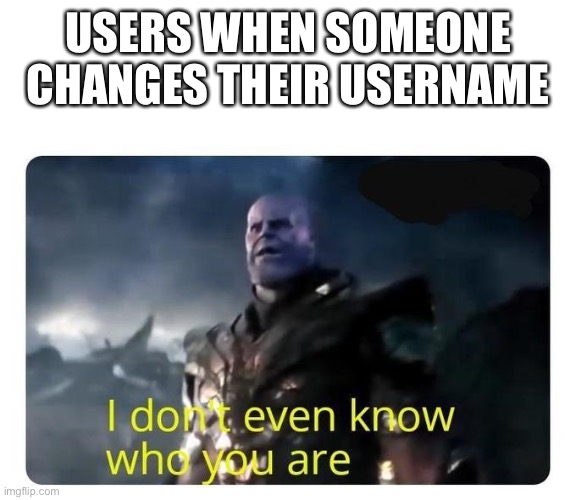 I may have joined in on the username changing trend | USERS WHEN SOMEONE CHANGES THEIR USERNAME | image tagged in thanos i don't even know who you are | made w/ Imgflip meme maker