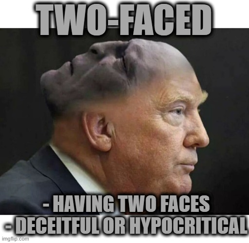 TWO-FACED | TWO-FACED; - HAVING TWO FACES
 - DECEITFUL OR HYPOCRITICAL | image tagged in two-faced,two,face,deceitful,hypocitical,devious | made w/ Imgflip meme maker
