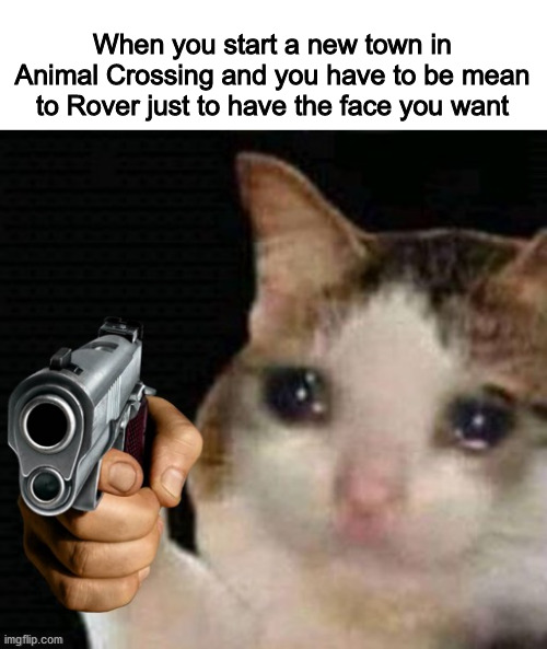 New Horizons made it so much easier, man | When you start a new town in Animal Crossing and you have to be mean to Rover just to have the face you want | image tagged in sad cat pointing gun,animal crossing | made w/ Imgflip meme maker