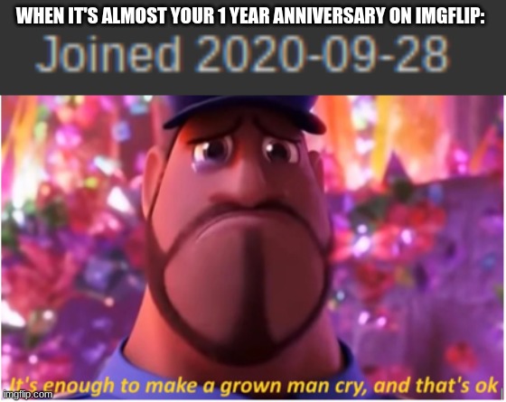 Almost My 1 Year Anniversary On ImgFlip! | WHEN IT'S ALMOST YOUR 1 YEAR ANNIVERSARY ON IMGFLIP: | image tagged in it's enough to make a grown man cry and that's ok,lets go,one year anniversary,happy birthday,tears of joy | made w/ Imgflip meme maker