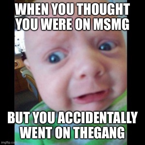 Oh gosh what is that stream | WHEN YOU THOUGHT YOU WERE ON MSMG; BUT YOU ACCIDENTALLY WENT ON THEGANG | image tagged in uhhhhhhhhh,funny | made w/ Imgflip meme maker