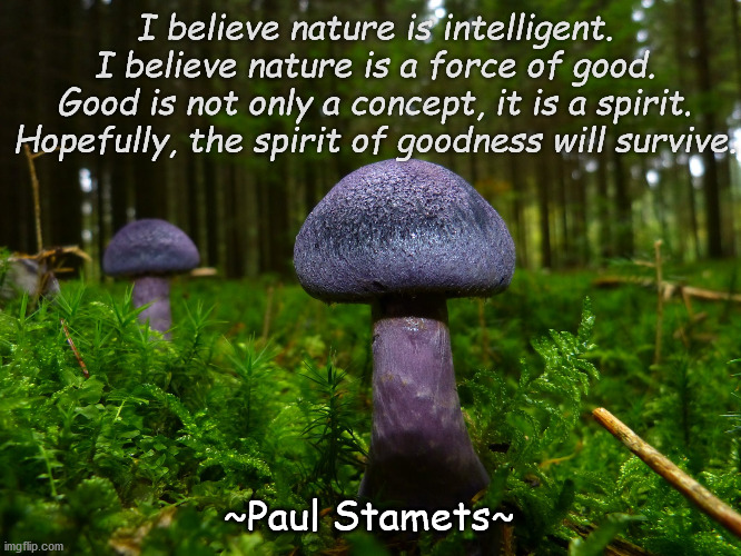 Intelligence of Nature | I believe nature is intelligent.
I believe nature is a force of good.
Good is not only a concept, it is a spirit.
Hopefully, the spirit of goodness will survive. ~Paul Stamets~ | image tagged in fungi | made w/ Imgflip meme maker