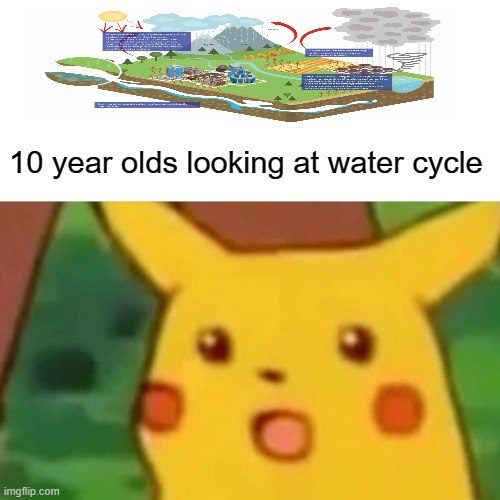 my school project. how you guys think | 10 year olds looking at water cycle | image tagged in memes,surprised pikachu | made w/ Imgflip meme maker