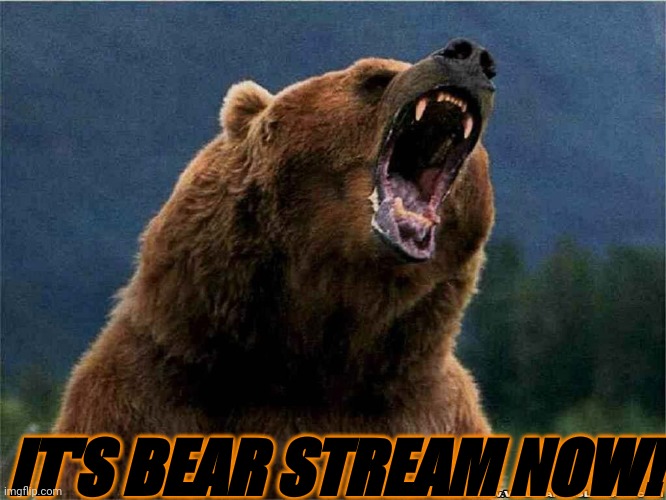 Bear invasion | IT'S BEAR STREAM NOW! | image tagged in angry confession bear,bear,invasion,bears,grizzly,grizzly bear | made w/ Imgflip meme maker