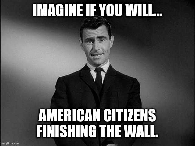 Let's do it. | IMAGINE IF YOU WILL... AMERICAN CITIZENS FINISHING THE WALL. | image tagged in memes | made w/ Imgflip meme maker