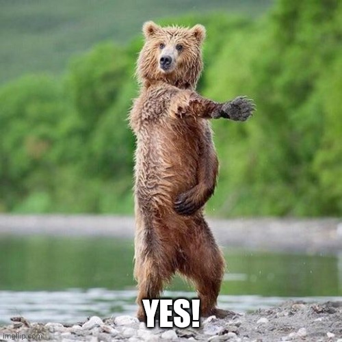 Happy Bear | YES! | image tagged in happy bear | made w/ Imgflip meme maker