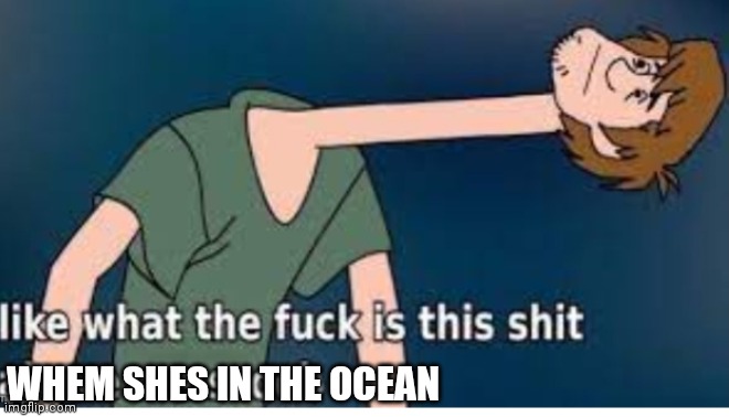 WHEM SHES IN THE OCEAN | made w/ Imgflip meme maker