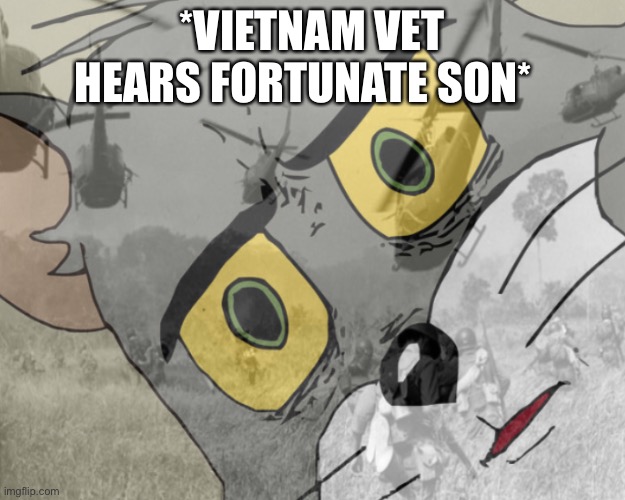 Unsettled tom vietnam | *VIETNAM VET HEARS FORTUNATE SON* | image tagged in unsettled tom vietnam | made w/ Imgflip meme maker