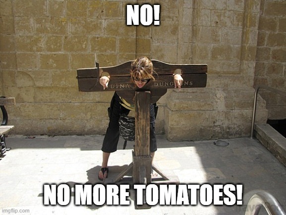 Woman In Stockade | NO! NO MORE TOMATOES! | image tagged in woman in stockade | made w/ Imgflip meme maker