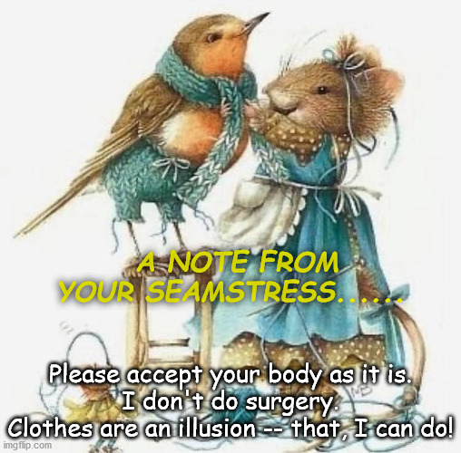 A NOTE FROM YOUR SEAMSTRESS | A NOTE FROM YOUR SEAMSTRESS...... Please accept your body as it is.
I don't do surgery.
Clothes are an illusion -- that, I can do! | image tagged in sewing,alterations,acceptme,littlemouse,littlebird | made w/ Imgflip meme maker