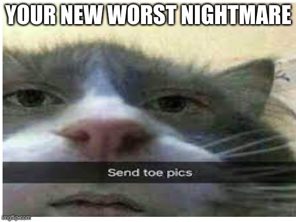 YOUR NEW WORST NIGHTMARE | image tagged in google search | made w/ Imgflip meme maker