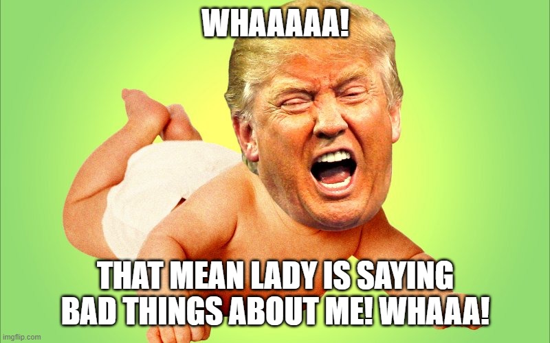 Baby Trump | WHAAAAA! THAT MEAN LADY IS SAYING BAD THINGS ABOUT ME! WHAAA! | image tagged in baby trump | made w/ Imgflip meme maker