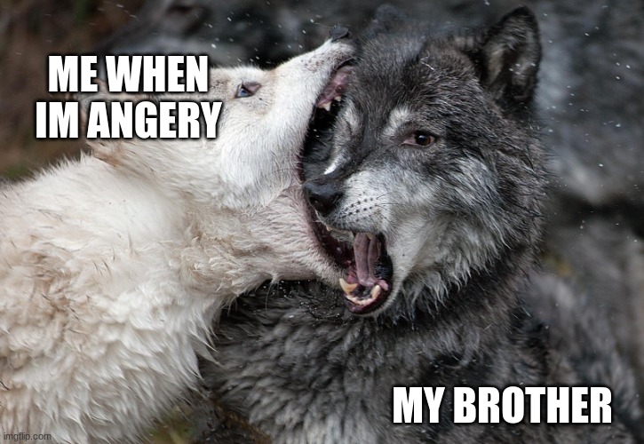 FURREI INSIDE! | ME WHEN IM ANGERY; MY BROTHER | image tagged in thrown to the wolves | made w/ Imgflip meme maker