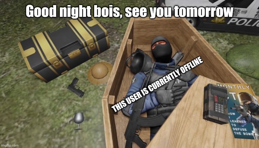 dead | Good night bois, see you tomorrow; THIS USER IS CURRENTLY OFFLINE | image tagged in dead | made w/ Imgflip meme maker