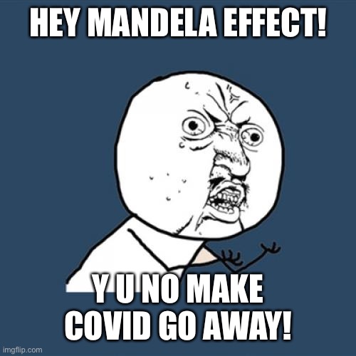 Y U No | HEY MANDELA EFFECT! Y U NO MAKE COVID GO AWAY! | image tagged in memes,y u no | made w/ Imgflip meme maker