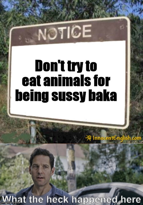 Don't try to eat animals for being sussy baka | image tagged in blank sign,antman what the heck happened here | made w/ Imgflip meme maker