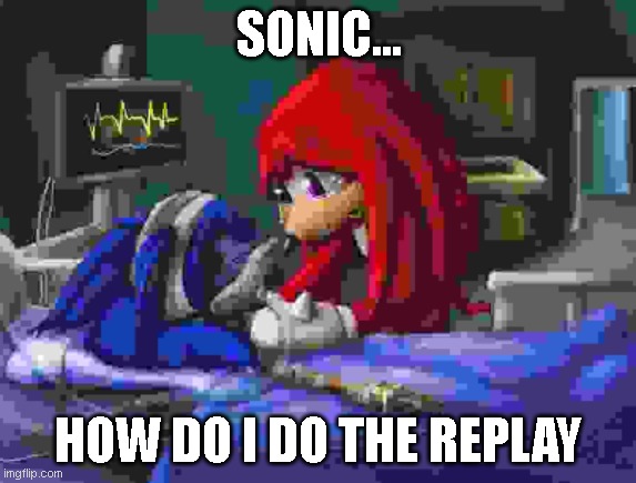 sonic... | SONIC... HOW DO I DO THE REPLAY | image tagged in sonic please | made w/ Imgflip meme maker