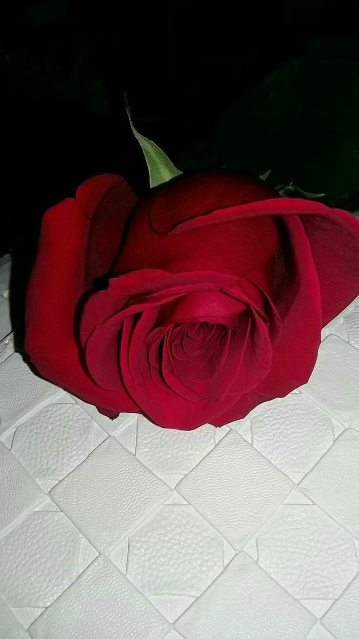 Daniel Blank Meme Template